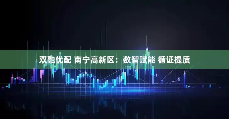 双融优配 南宁高新区：数智赋能 循证提质
