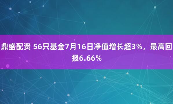 鼎盛配资 56只基金7月16日净值增长超3%，最高回报6.66%