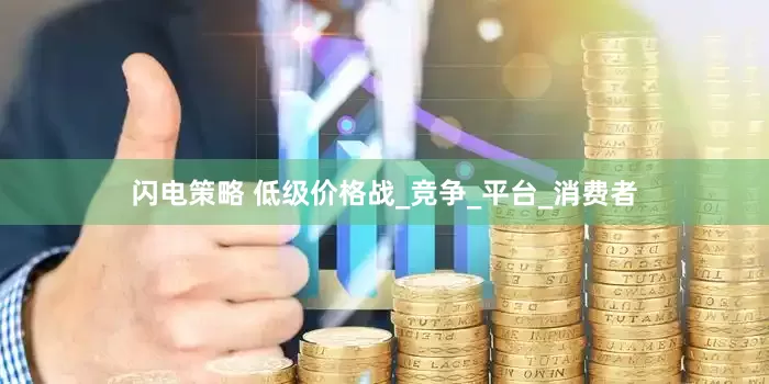 闪电策略 低级价格战_竞争_平台_消费者