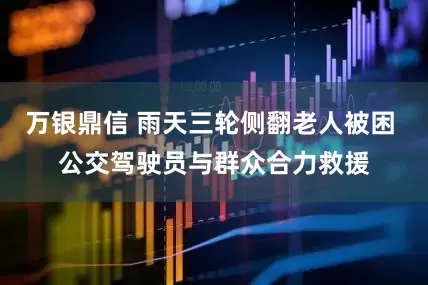 万银鼎信 雨天三轮侧翻老人被困 公交驾驶员与群众合力救援