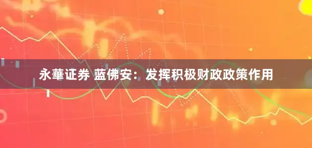 永華证券 蓝佛安：发挥积极财政政策作用