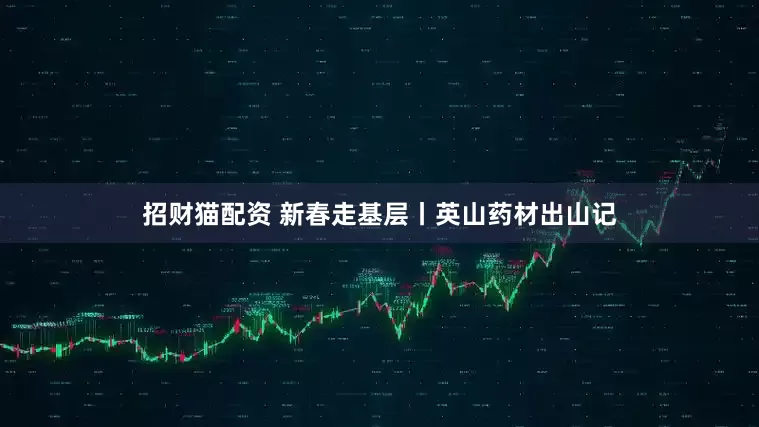 招财猫配资 新春走基层丨英山药材出山记