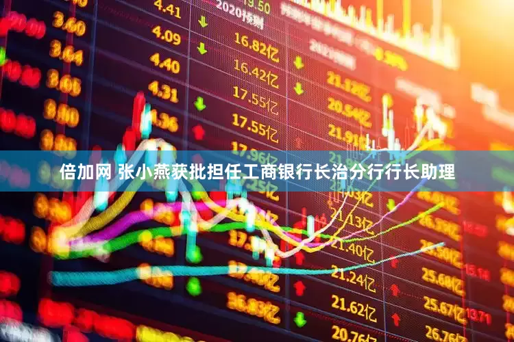 倍加网 张小燕获批担任工商银行长治分行行长助理